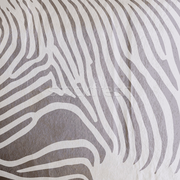 Stock photo: vector abstract old paper background with animal zebra pattern f