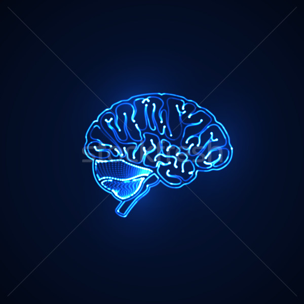 human brain. neon sign Stock photo © maximmmmum