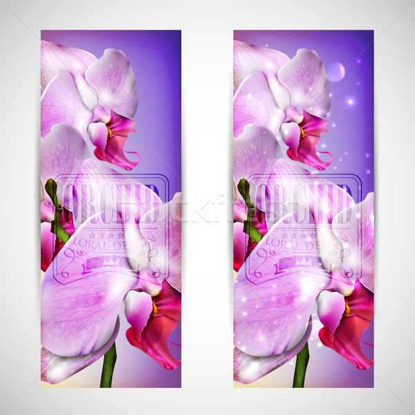 Set carduri floare orhidee floare nuntă Imagine de stoc © maximmmmum