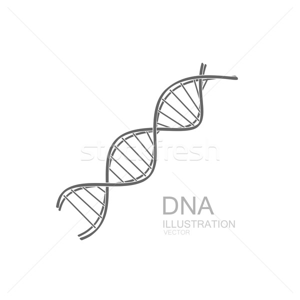 DNA icon. Stock photo © maximmmmum