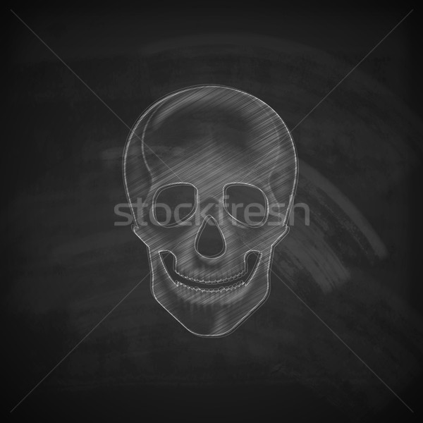 vector illustration of a chalk human skull on a blackboard background Stock photo © maximmmmum