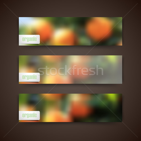Set of banners with blurred background of orange grove and organic food label, vector design  Stock photo © maximmmmum