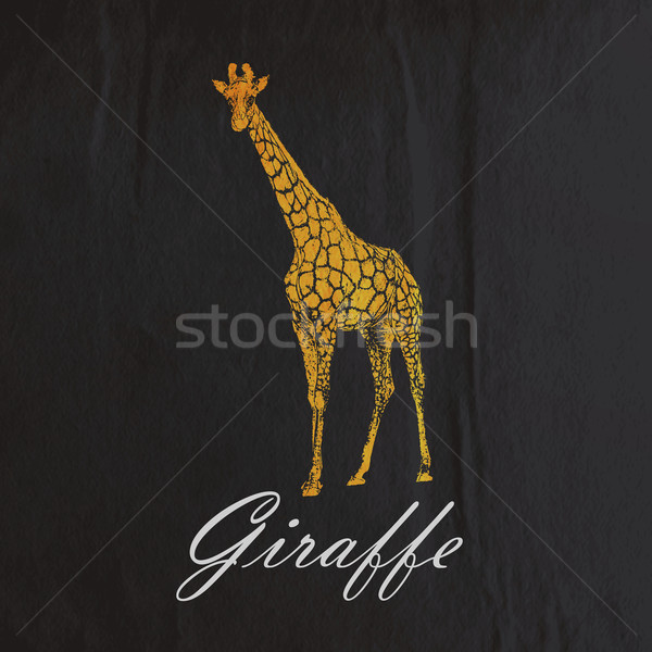 vector vintage illustration of an orange giraffe on the old blac Stock photo © maximmmmum