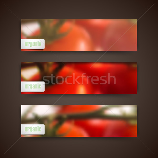 Bannières floue tomates vecteur [[stock_photo]] © maximmmmum