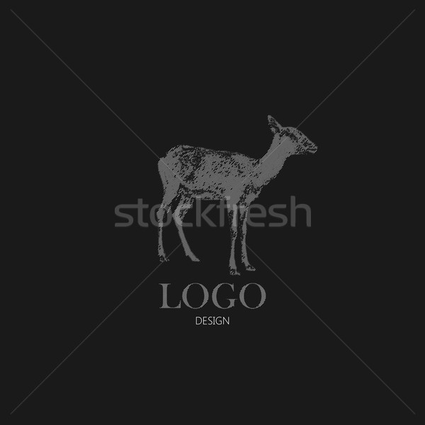 vector illustration with engraving antelope or goat. Logo design Stock photo © maximmmmum