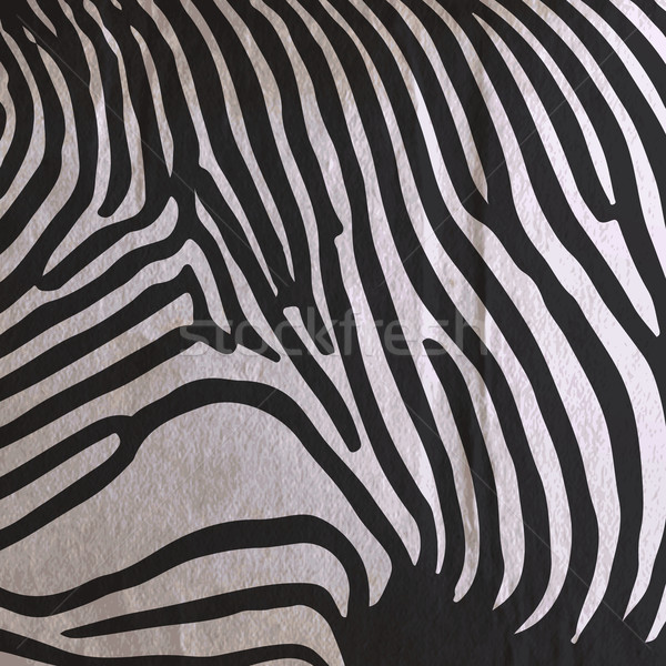 vector abstract old paper background with animal zebra pattern f Stock photo © maximmmmum