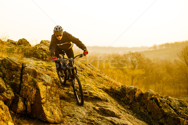 Kerékpáros lovaglás hegyi kerékpár lefelé gyönyörű nyom Stock fotó © maxpro
