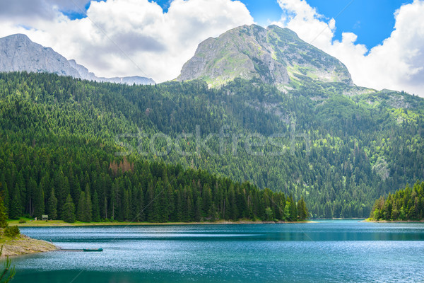 Beautiful Black Lake, Green Forest and Beautiful Mountains in the Morning. National Park Durmitor, M Stock photo © maxpro