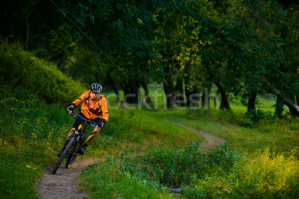 Cyclist Riding the Bike in the Beautiful Summer Forest Stock photo © maxpro