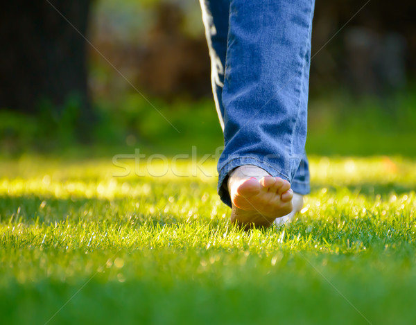 Stock foto: Frau · barfuß · Beine · grünen · Gras · Garten · Gras