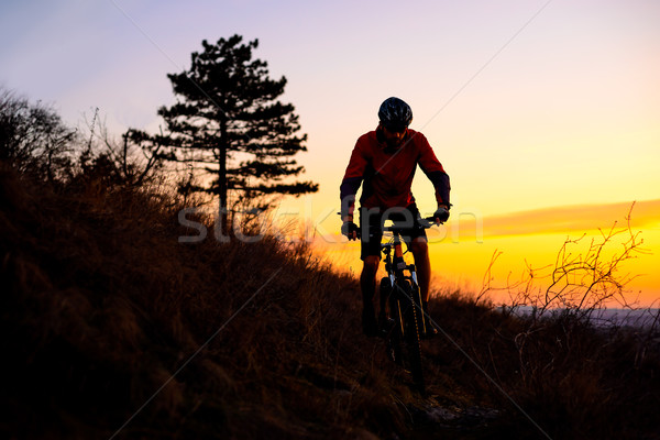 Silhueta ciclista equitação mountain bike trilha pôr do sol Foto stock © maxpro