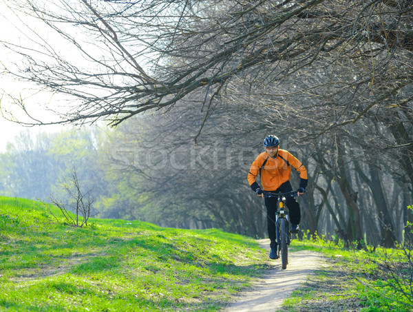 Stock fotó: Kerékpáros · lovaglás · bicikli · nyom · erdő · gyönyörű