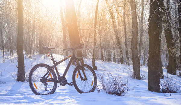 Mountain Bike on the Snowy Trail in the Beautiful Winter Forest Lit by Sun Stock photo © maxpro