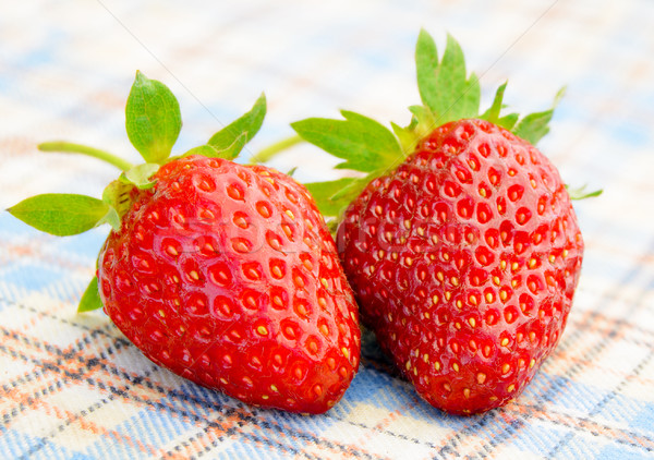 Fresh Sweet Strawberries on the Table Cloth Stock photo © maxpro