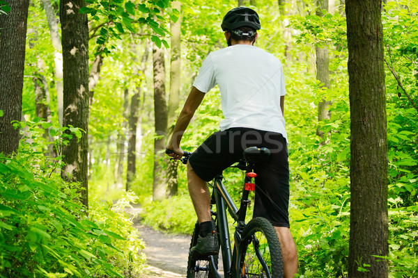 Ciclista equitazione bike percorso foresta bella Foto d'archivio © maxpro