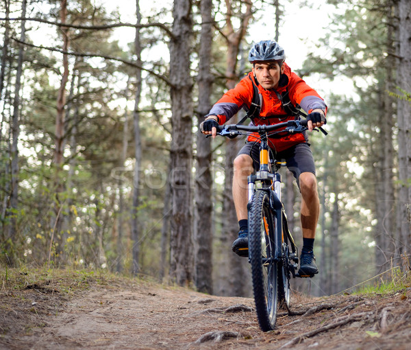 Cyclist Riding the Bike on the Trail in the Forest. Extreme Sport. Stock photo © maxpro