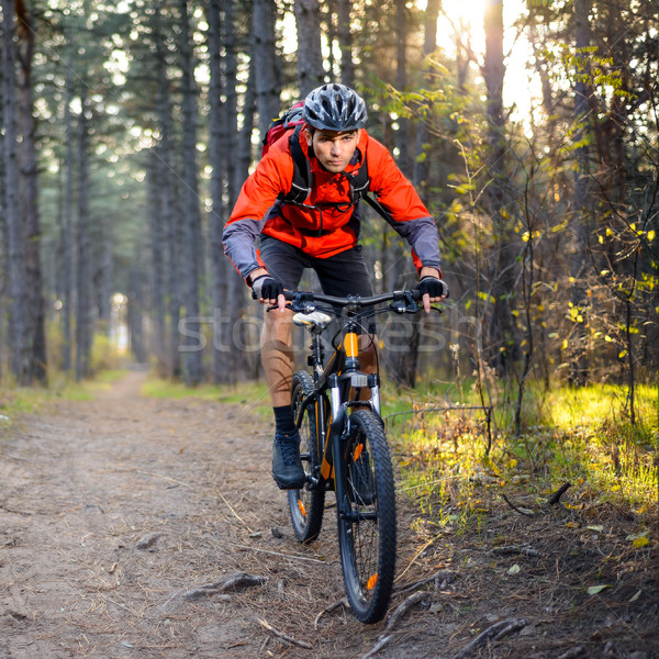 Cyclist Riding the Bike on the Trail in the Forest. Extreme Sport. Stock photo © maxpro