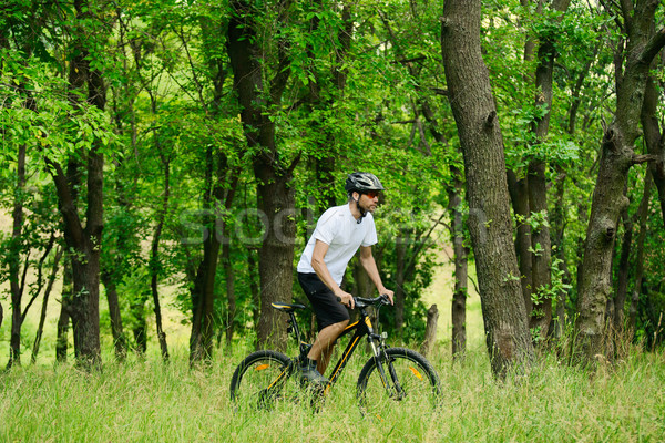 Zdjęcia stock: Rowerzysta · jazda · konna · rowerów · szlak · lasu · piękna