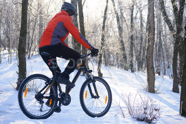 Mountain Biker Riding Bike on the Snowy Trail in the Beautiful Winter Forest Lit by Sun Stock photo © maxpro