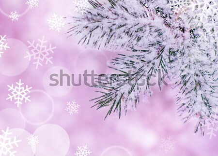 Stock foto: Weihnachten · wirklich · Schnee · Baum · Design · Kunst