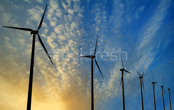 Wind Generator Sonnenuntergang grünen erneuerbare Energien Landschaft Stock foto © maxpro