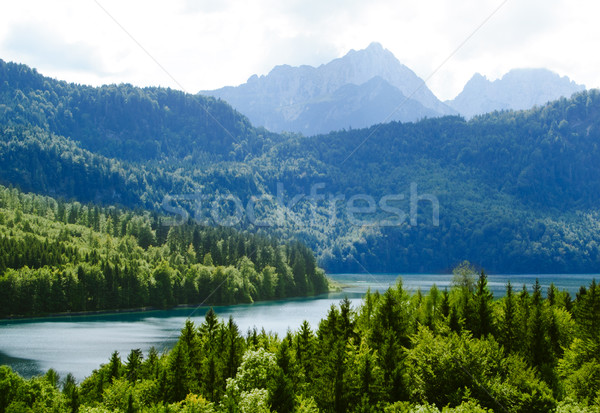 Alpsee Lake in the Forest and Alps Mountains. Bavaria, Germany Stock photo © maxpro