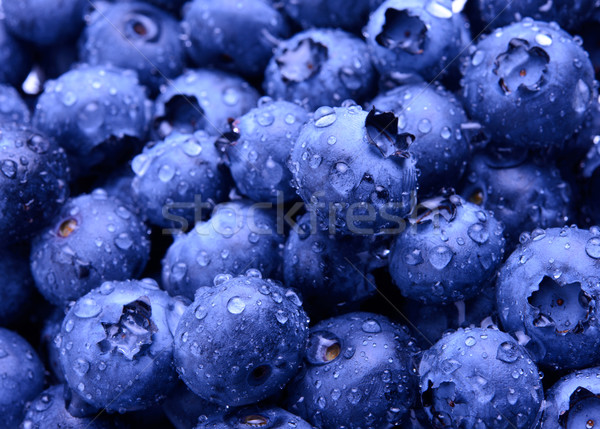 新鮮な 甘い ブルーベリー カバー 水滴 ストックフォト © maxpro