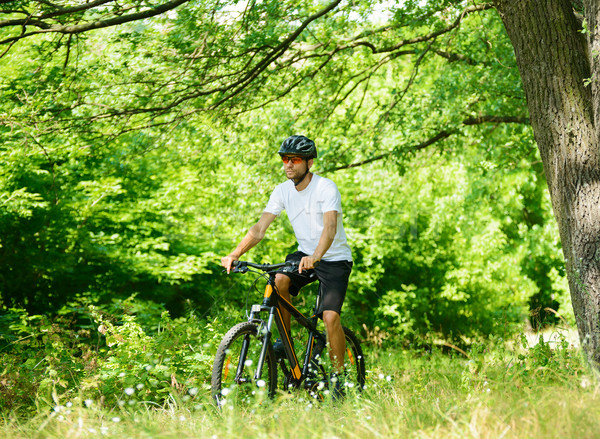 Ciclista equitazione bike percorso foresta bella Foto d'archivio © maxpro