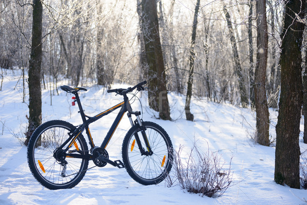 Mountain Bike on the Snowy Trail in the Beautiful Winter Forest Lit by Sun Stock photo © maxpro