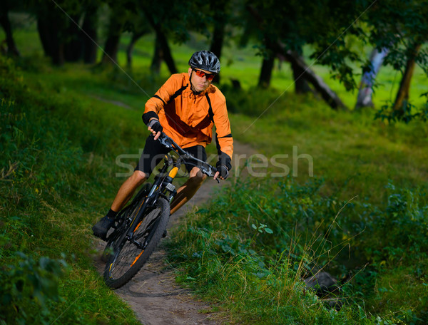 Ciclista equitazione bike bella estate foresta Foto d'archivio © maxpro