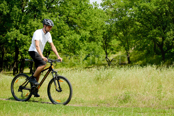 Ciclista equitação bicicleta trilha floresta belo Foto stock © maxpro