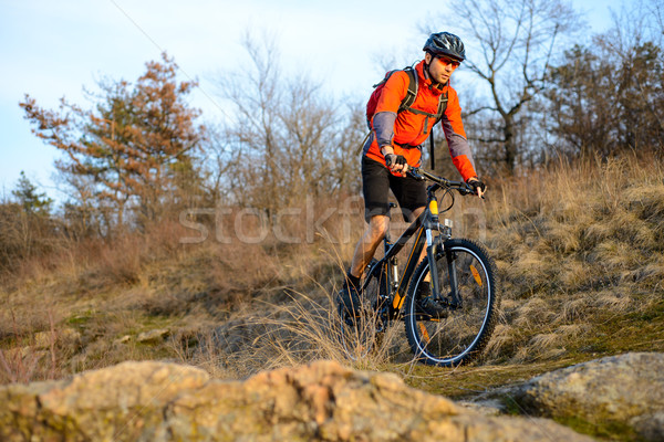 Rowerzysta jazda konna rowerów górskich szlak przestrzeni Zdjęcia stock © maxpro