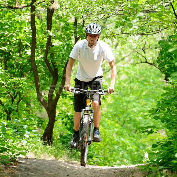Rowerzysta jazda konna rowerów szlak lasu piękna Zdjęcia stock © maxpro