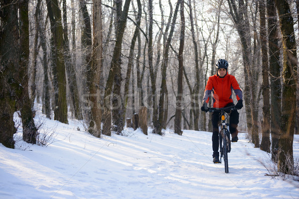 Stock photo: Mountain Biker Riding Bike on the Snowy Trail in Beautiful Winter Forest