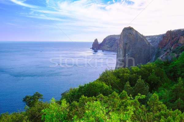 Beautiful Sea Rocky Coast with Green Forest Stock photo © maxpro