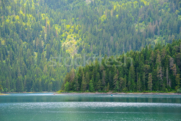 Beautiful Black Lake, Green Forest and Beautiful Mountains in the Morning. National Park Durmitor, M Stock photo © maxpro