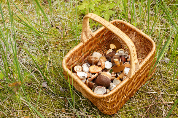 Basket with mushrooms Stock photo © maxsol7