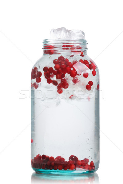 Vörösáfonya jeges detoxikáló víz üveg bögre Stock fotó © maxsol7