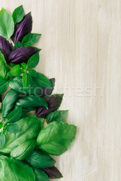 Heirloom basil on wooden table Stock photo © maxsol7