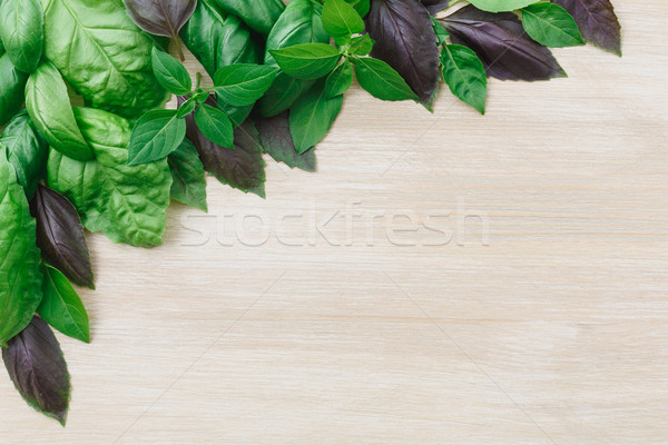 Heirloom basil on wooden table Stock photo © maxsol7