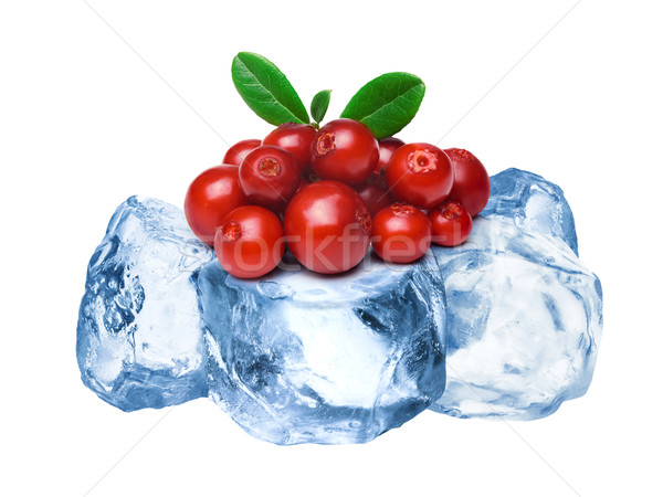 Frozen lingonberries isolated Stock photo © maxsol7