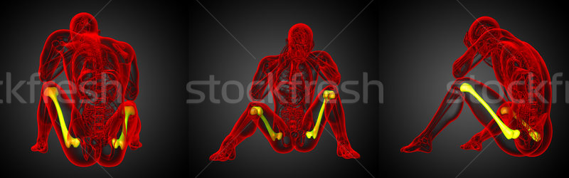 3D medical ilustrare os Imagine de stoc © maya2008