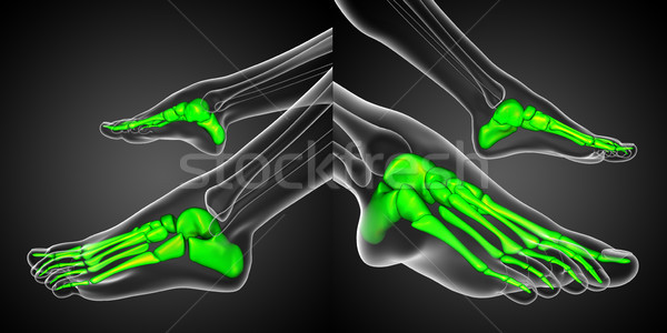 3d rendering medical illustration of the foot bone Stock photo © maya2008