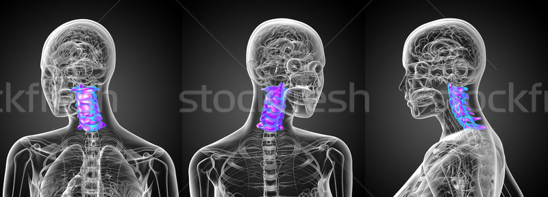 Stock photo: 3d rendering medical illustration of the cervical spine