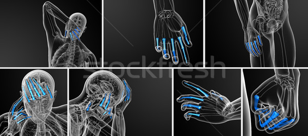 3D illustratie menselijke hand Stockfoto © maya2008