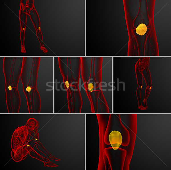 3d rendering medical illustration of the patella bone Stock photo © maya2008