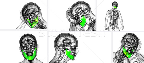 Stock photo: 3d rendering illustration of jaw bone