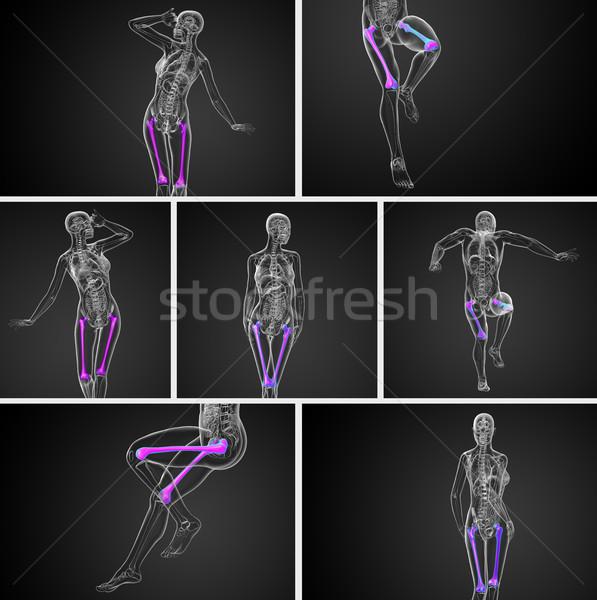 Stock photo: 3d rendering medical illustration of the femur bone 
