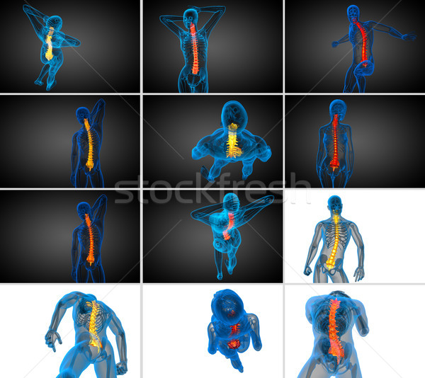 3d rendering  medical illustration of the human spine  Stock photo © maya2008
