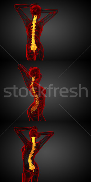 3D renderelt kép orvosi illusztráció emberi gerincoszlop Stock fotó © maya2008